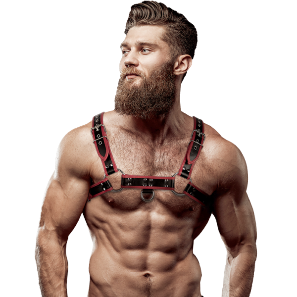 FETISH SUBMISSIVE ATTITUDE - ECO LEATHER CHEST STRAP HARNESS MEN BLACK/RED é uma Lingerie que se equadra nos Acessórios de lingerie. Erótica e atraente. Resistente e segura.